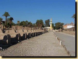 Alle des Sphinx qui reliait les temples de Louxor et de Karnak, distants de 2,7 Km.